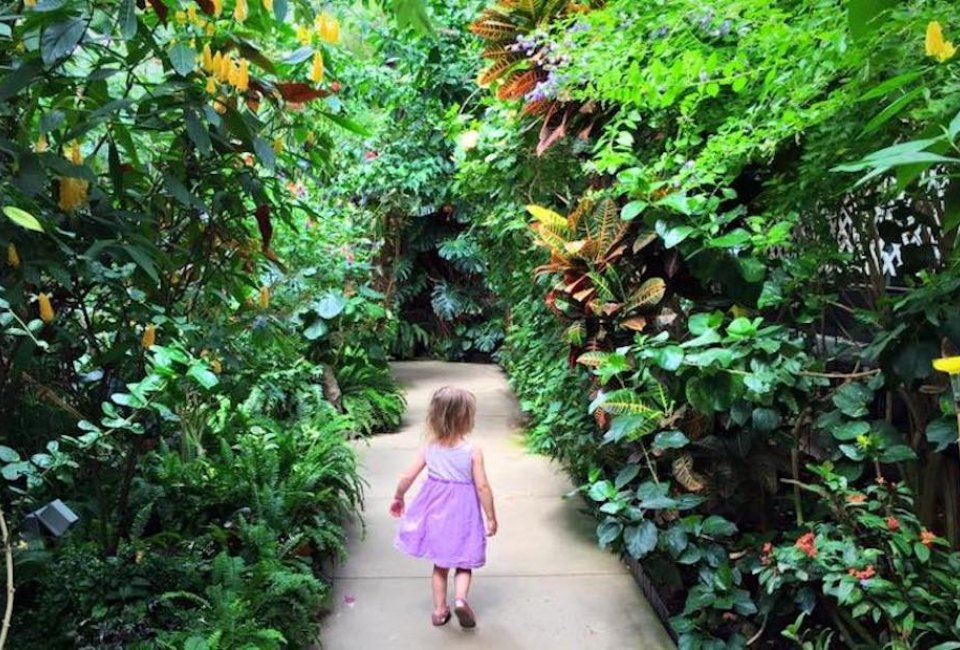 Are we in the tropics? It's warm and inviting at the Magic Wings Butterfly Conservatory in Massachusetts. Photo courtesy of Katie Wadland