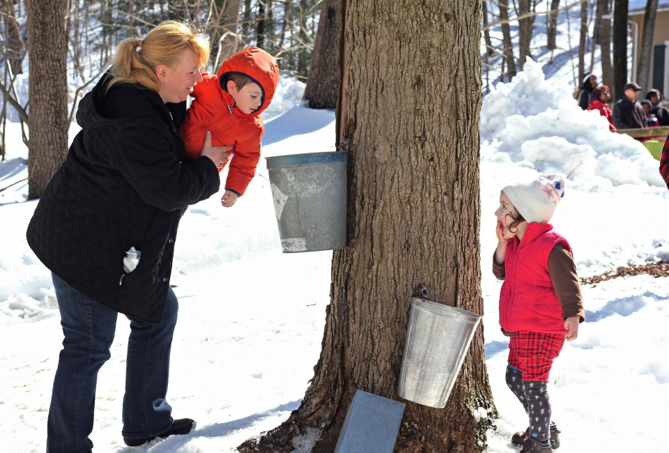 It's maple sugaring season: How sweet it is. Photo courtesy of Philly Parks & Rec