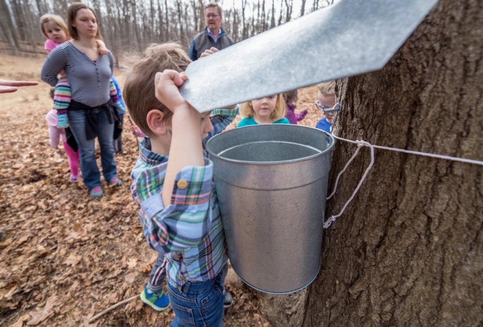 Maple Sugaring at Brookside Nature Center. Photo courtesy of Montgomery Parks