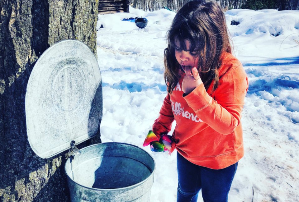 Look forward to a taste of fresh maple syrup later this winter. 