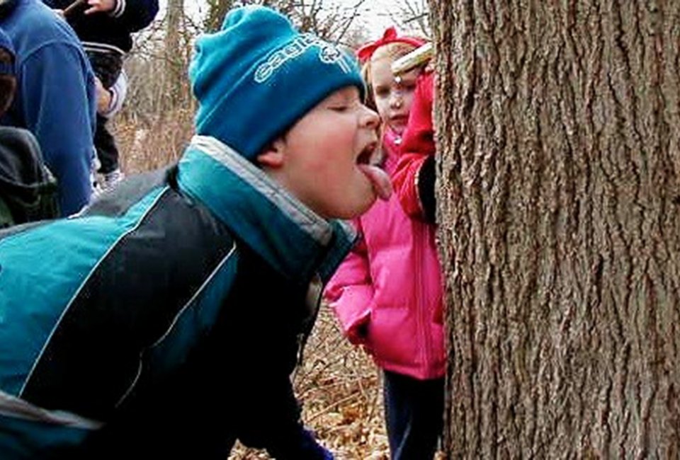 Learn all about maple sugaring at Washington Crossing State Park this weekend. Photo courtesy of the NJ Dept. of Environmental Protection