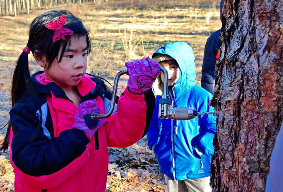 Enjoy maple sugaring month at the Brookside Nature Center. Photo courtesy of Montgomery Parks