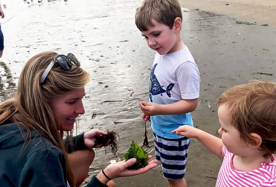 The Marine Education Center lets kids get hands-on with the Long Island Sound.Photo courtesy of the center