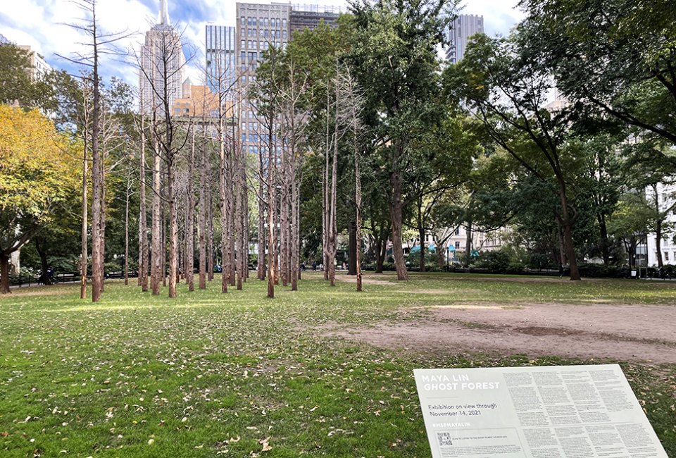 Ghost Forest is the latest photographable art installation at Madison Square Park