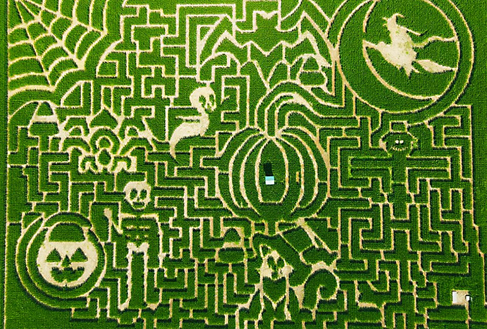 Mazezilla's corn maze turns spookly after dark