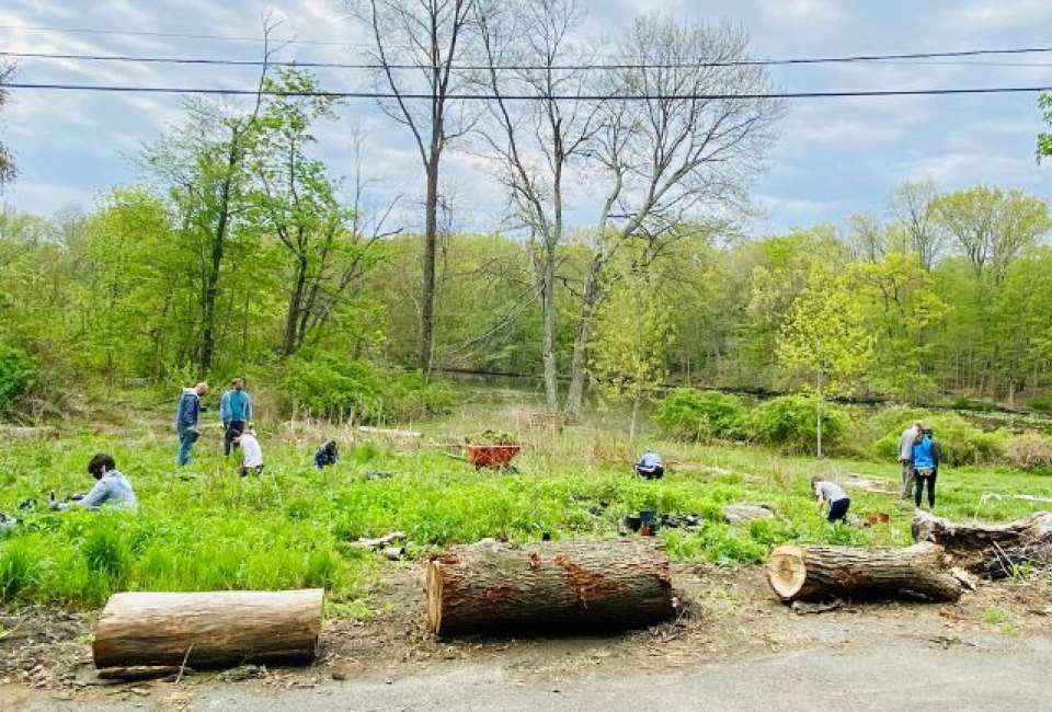 Community Service Opportunities: Volunteer in the Sheldrake Meadow