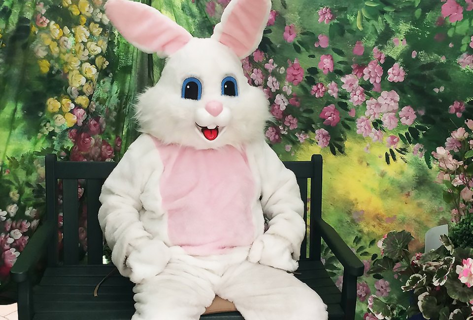 The Easter Bunny is the man of the hour at Hicks Nursery. Photo courtesy of the nursery