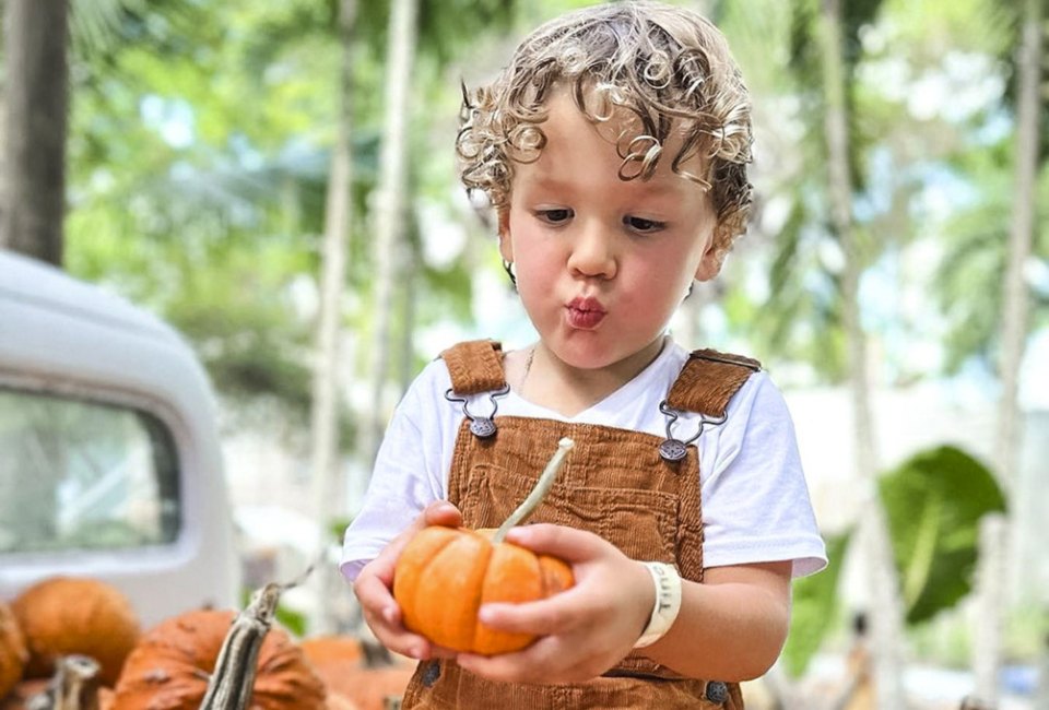 Pumpkins come in all sizes at Tinez Farms. Photo courtesy of Tinez Farms