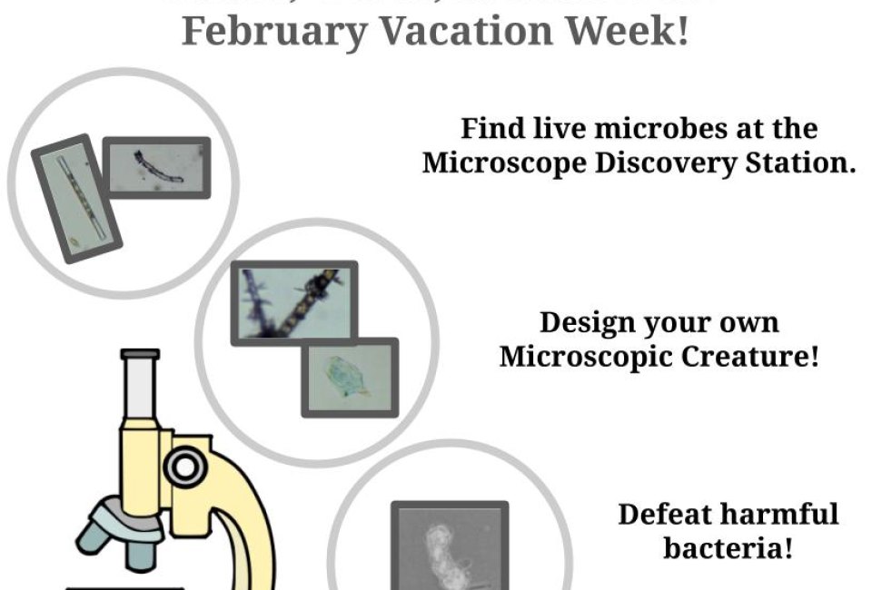 Microbe Madness at the Waterworks Museum