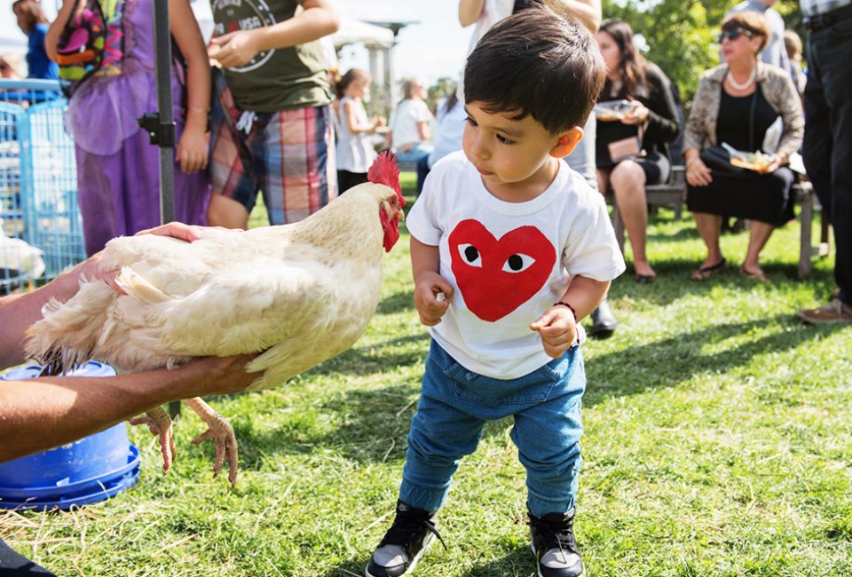 Greenwood Gardens hosts many family-friendly events throughout the year. Photo courtesy of Greenwood Gardens