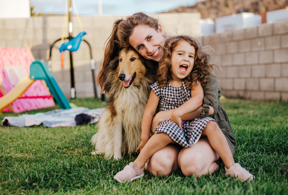 Pawp is a new pet insurance alternative that lets pet owners talk to a vet online and helps cover unexpected medical bills for emergency care.