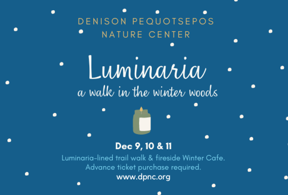 Holiday Luminaria at the Nature Center