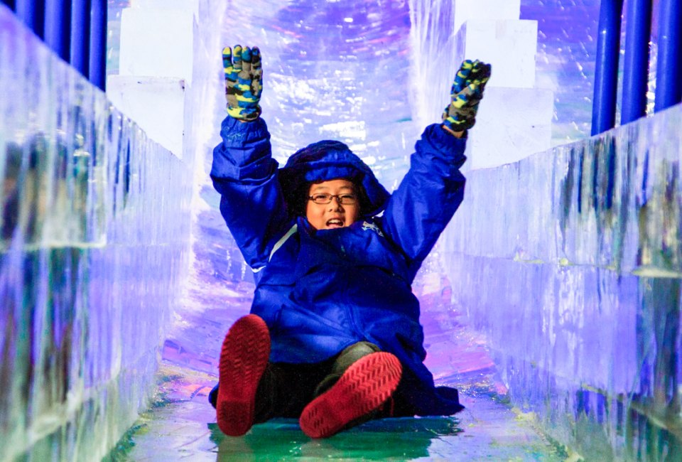 Enjoy some winter thrills by hurtling down the arctic slide at Moody Gardens this holiday season. 