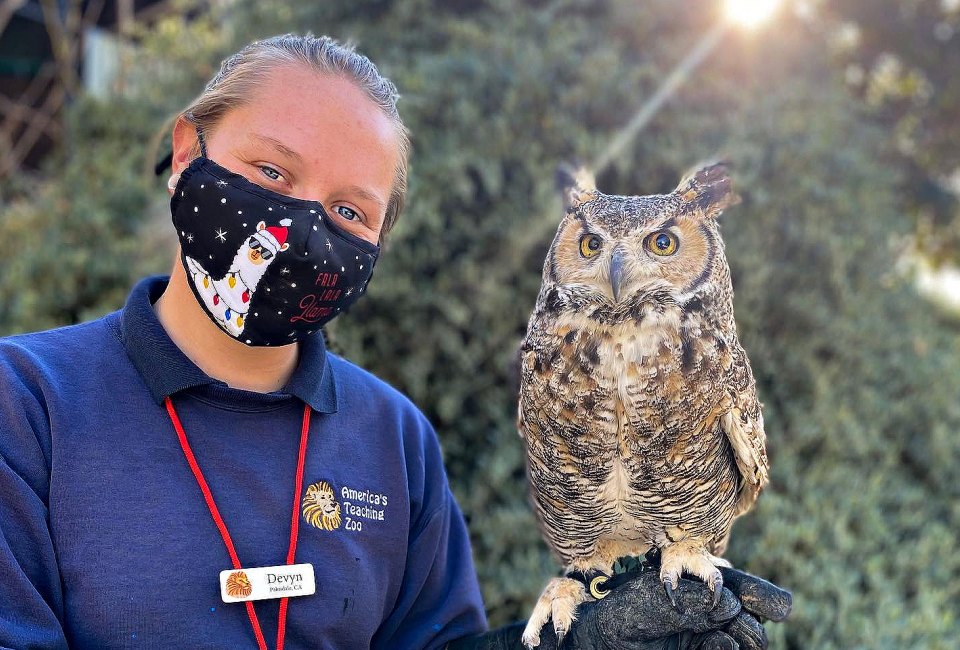 See what this wise guy is up to this spring. Photo courtesy of Moorpark College Teaching Zoo