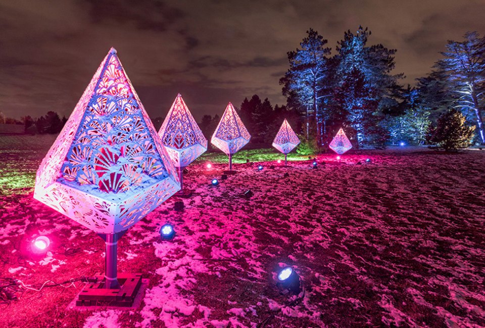 See trees in a different light at a reimagined Illumination: Tree Lights at The Morton Arboretum. 