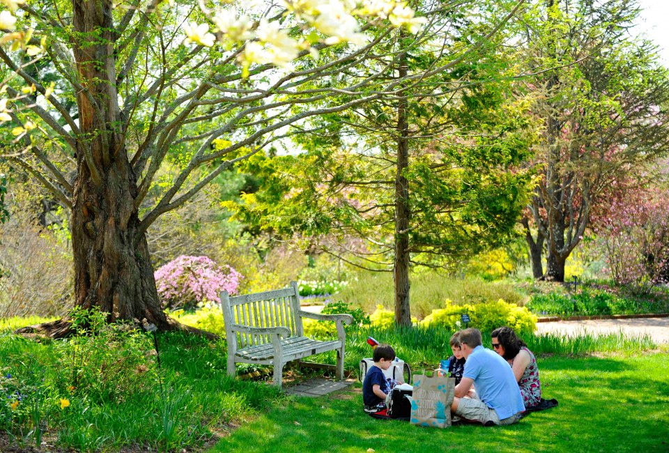 Picnic at Tower Hill Botanic Garden. Photo by Brooks Canaday