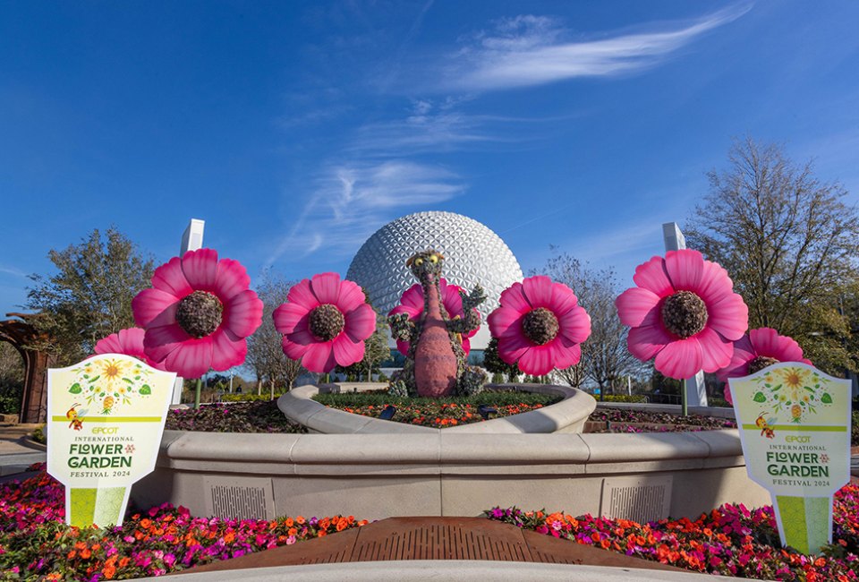 Enjoy the beautiful blooms of Epcot International Flower & Garden Festival that runs through May 27, 2024. Photo courtesy Walt Disney World