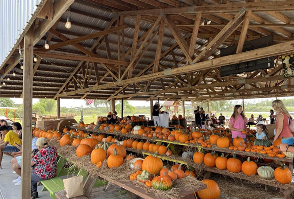 Pumpkin Ponderosa at Showcase of Citrus bursts with major fall vibes. Photo courtesy of event