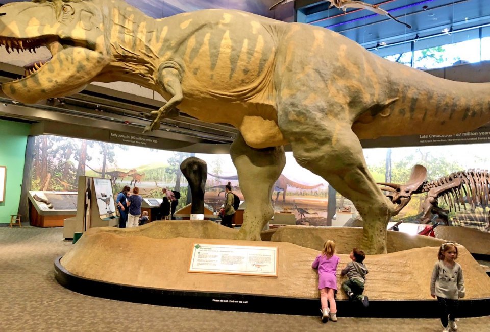 Meet the dinos at the Museum of Science. 