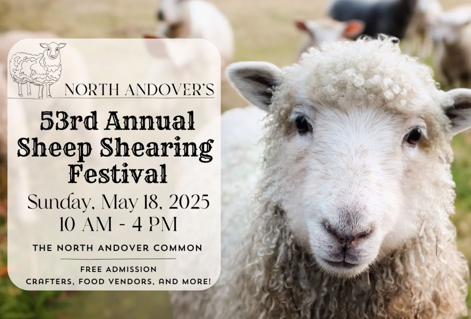 North Andover's 53rd Annual Sheep Shearing Festival