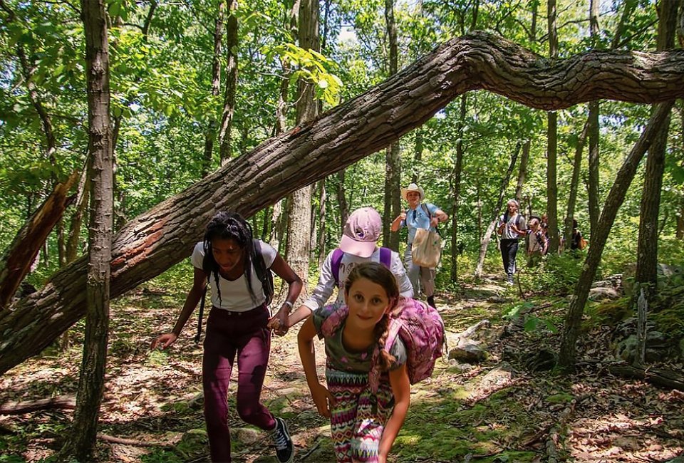 The Nature Place Day Camp is one of several that still have openings for summer 2019! Photo courtesy of the camp