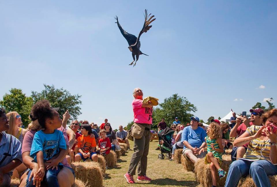 Bridgeland's Nature Fest is an event that you don't want to miss this Saturday!/Photo courtesy of Bridgeland.