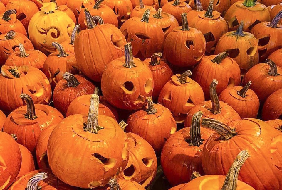 Carve out some time for family fun at the Incredible Naumkeag Pumpkin Show. Photo courtesy of The Trustees