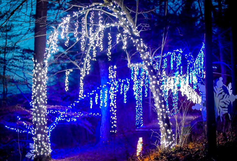 Photo of holiday lights - Holiday Break Activities in Boston