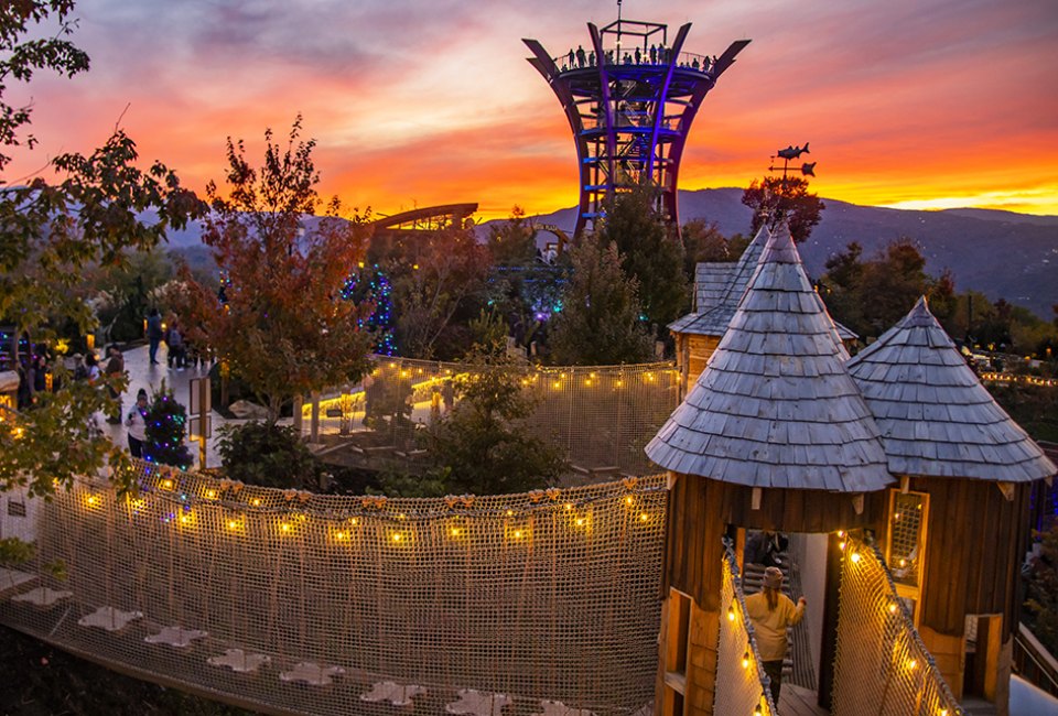 Come play at Anakeesta, the mountaintop adventure park in the heart of Gatlinburg. Photo courtesy of Anakeesta