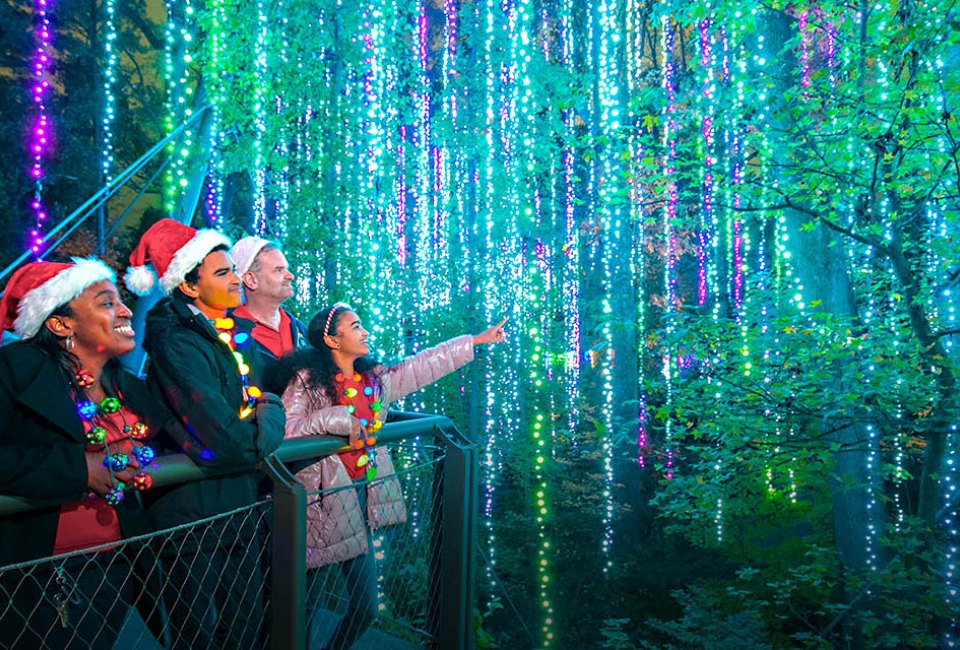 Garden Lights, Holiday Nights returns is a must-see Atlanta holiday event. Photo courtesy of the Atlanta Botanical Gardens