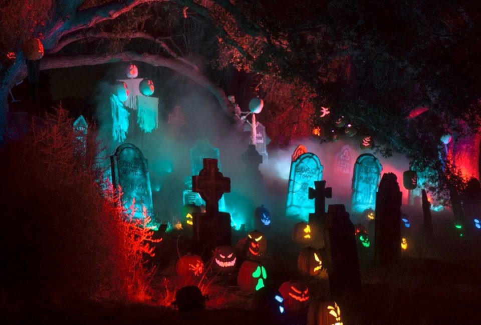 Walk through a Halloween wonderland. Photo courtesy of Nights of the Jack