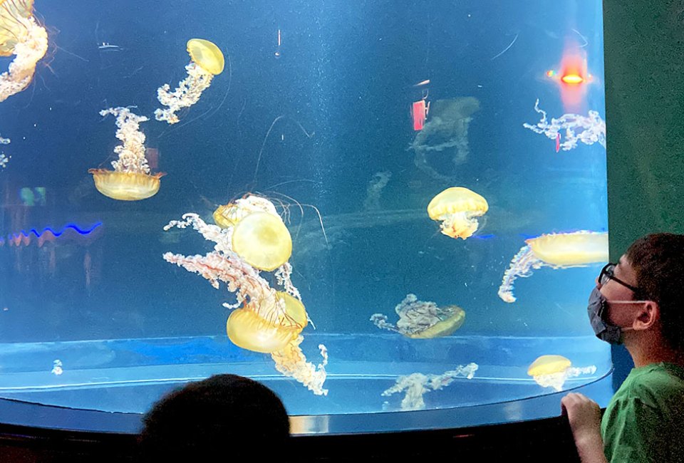 Adventure Aquarium