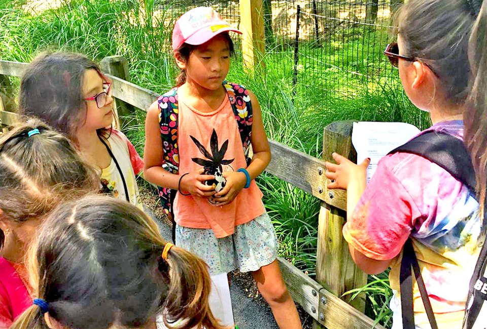  At Tenafly Nature Center Camp, kids experience the natural world. Photo courtesy of the nature center