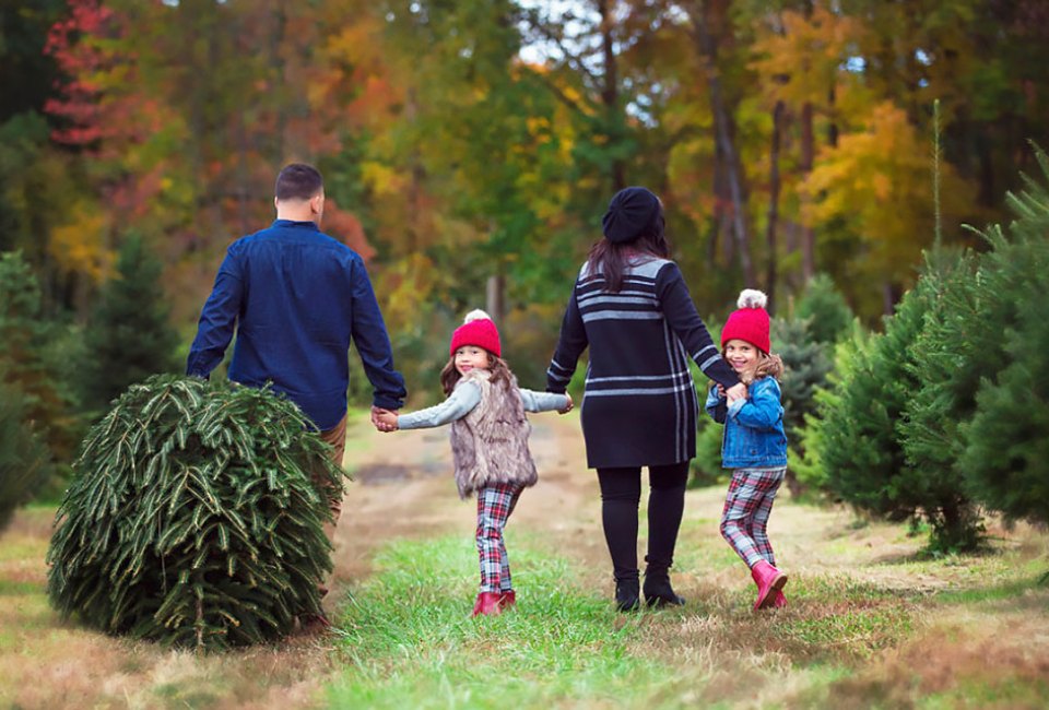 Find the perfect tree at Anne Ellen Christmas Tree Farm in Manalapan. Photo courtesy of the farm