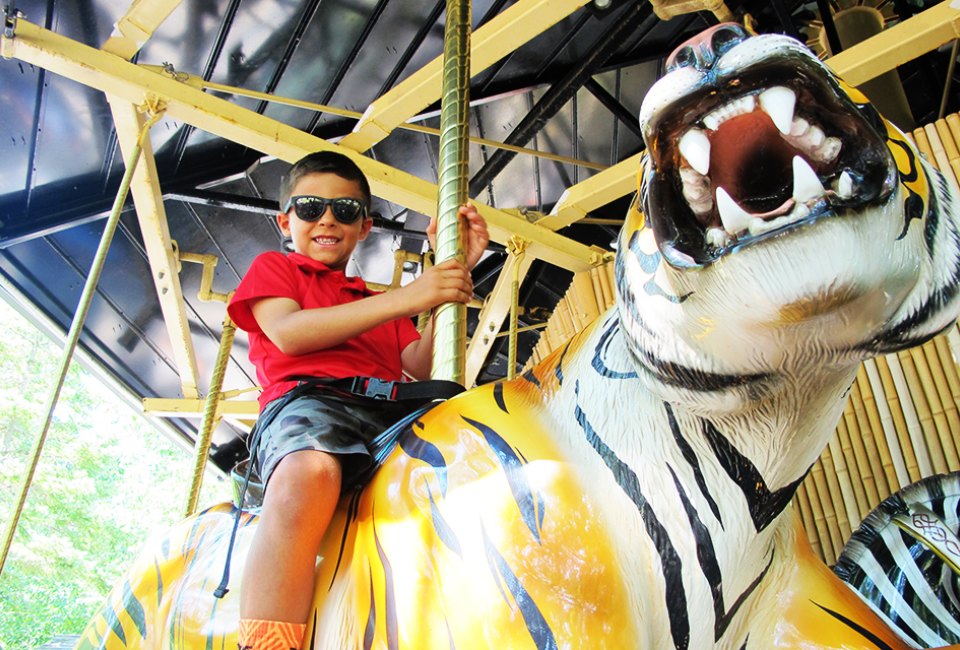 Admission to the Cape May County Park & Zoo is completely free. Photo courtesy of the zoo 