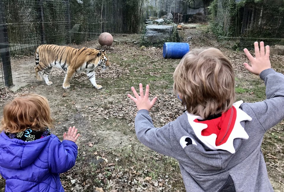 Admission to the Cohanzick Zoo in Bridgeton is completely free. Photo by Lisa Warden 