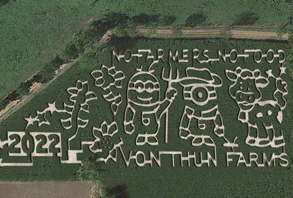 Minion corn maze at Von Thun Farms. NJ