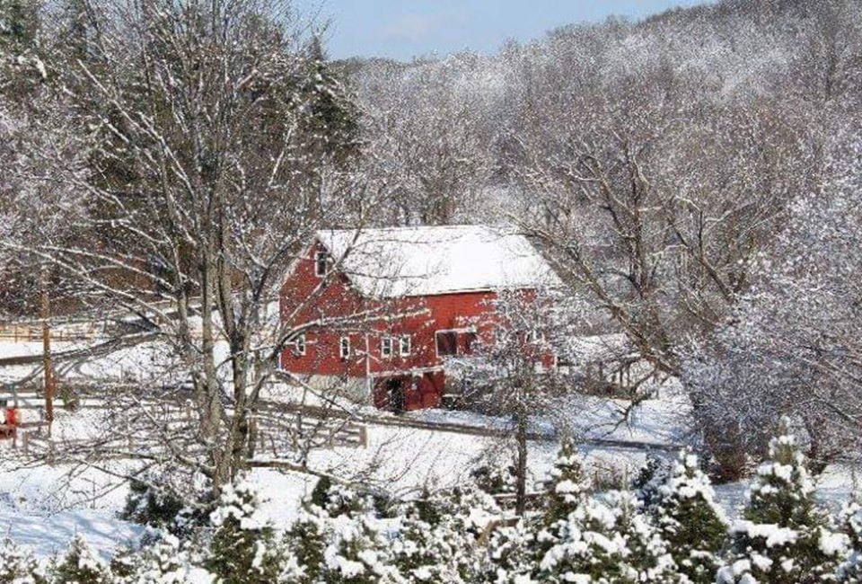 Shale Hills Farm christmas tree farm nj