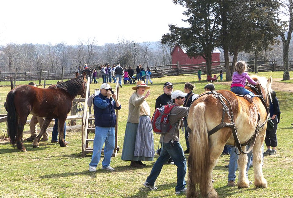 Saddle up at Howell Living History Farm for a historical program about workhorses. Photo courtesy of the farm