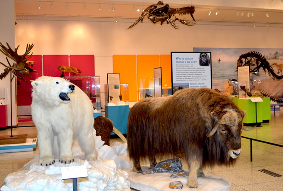 The New Jersey State Museum is always free and houses artifacts, natural and cultural history, dinosaurs, and fine art. Photo courtesy of the museum