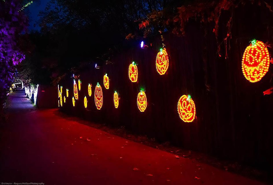 The light show at Demarest Farms. Photo courtesy of the farm