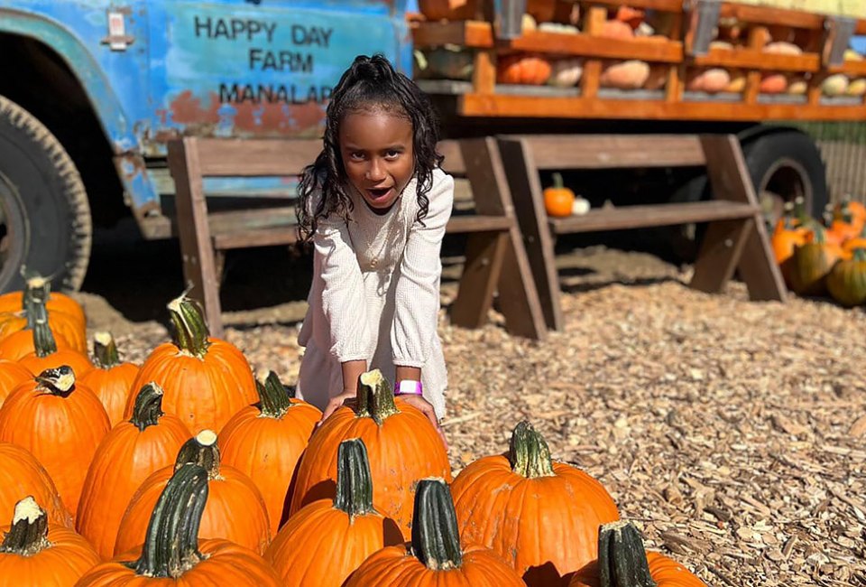 Bring home a pumpkin from the Happy Day Farm Fall Festival in Manalapan. Photo courtesy of the farm