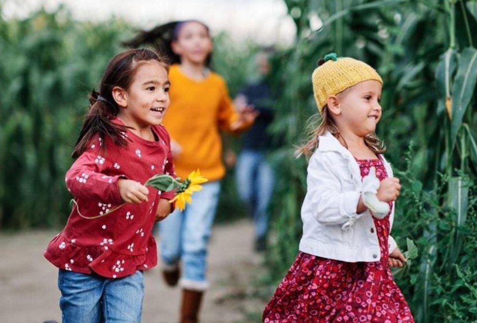 25 Things To Do in New Jersey During November's School Holidays Spend a day running around at Johnson's Corner Farm this November. Photo courtesy of the farm