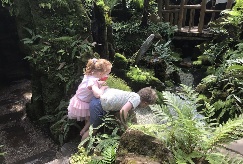 Visiting the Morris Arboretum in Philadelphia with Kids