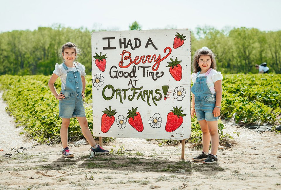 Have a sweet time at Ort Farms' Strawberry Festival this month. Photo courtesy of the farm
