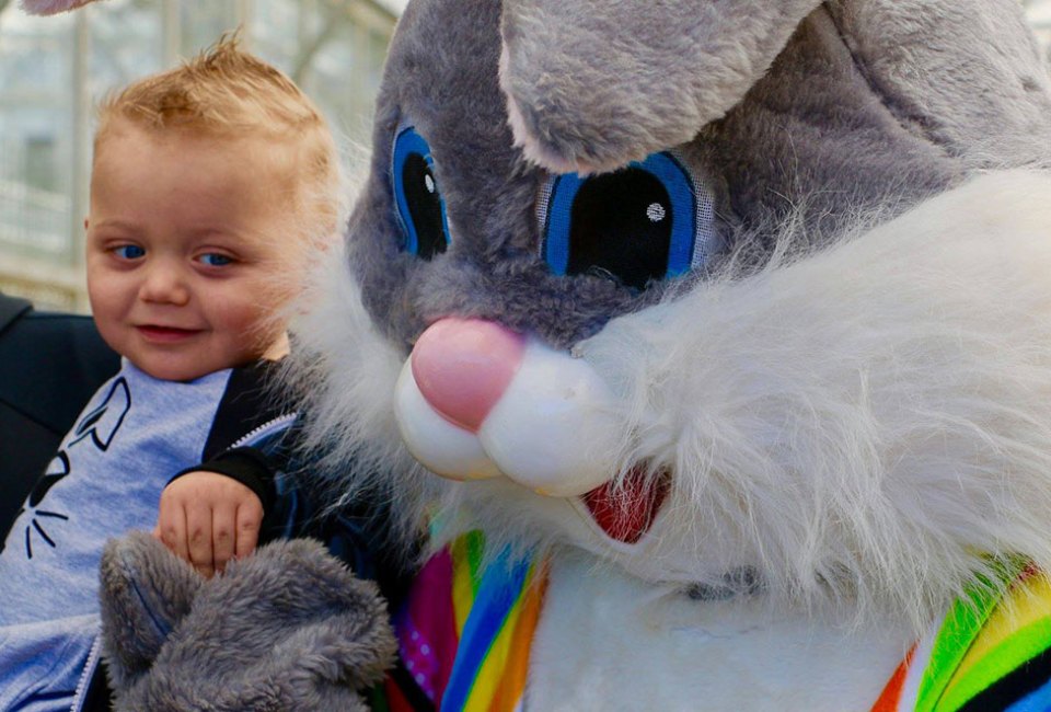 Take photos with the Easter Bunny at Heaven Hill Farm's annual Easter Egg Festival. Photo courtesy of the farm