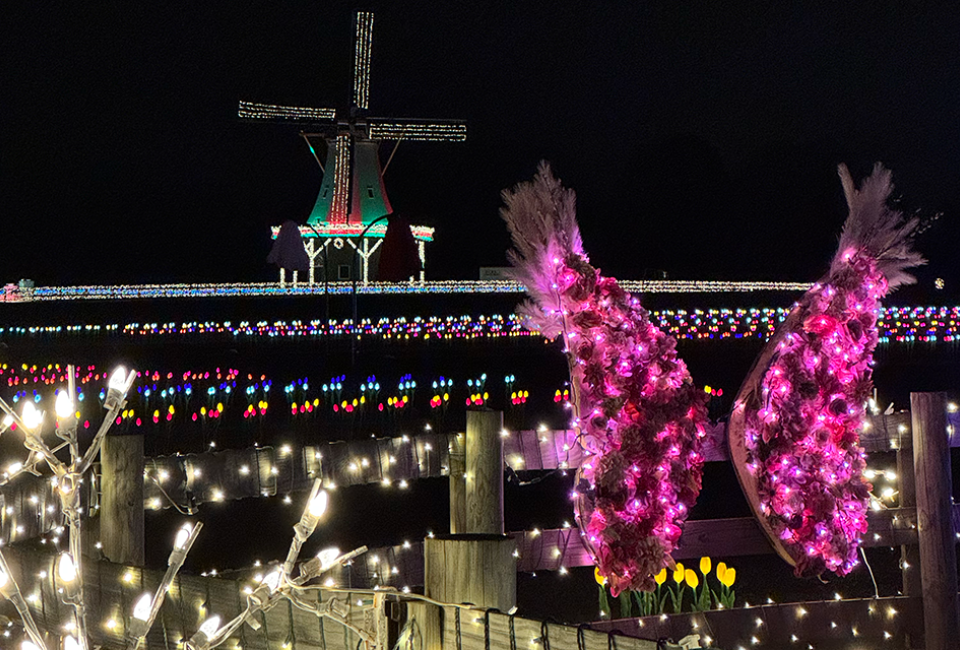 Holland Ridge Farms combines a tulip theme and the holidays in its Winter Wonderland installation. Photo courtesy of Holland Ridge Farms