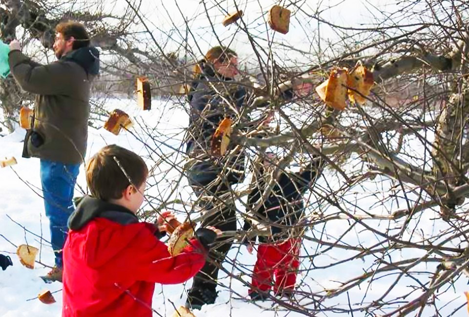 The ancient British tradition of wassailing the apple trees to protect them from harm is a popular winter celebration at Terhune Orchards. Photo courtesy of the orchards