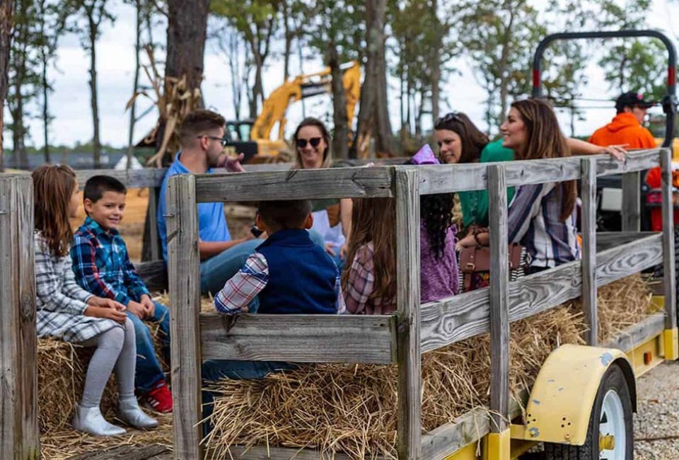  Enjoy specialty food, hay rides, and plenty of fun and games at Diggerland's Diggerfest. Photo courtesy of Diggerland