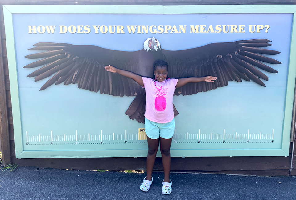 Visiting the Turtle Back Zoo: 10 Best Things To Do and See Visiting the Turtle Back Zoo means plenty of cute photo ops.